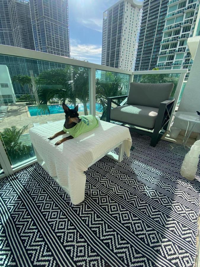 Comfortable Room In The Brickell City Center Area Miami Eksteriør billede